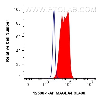 Flow cytometry (FC) experiment of A431 cells using MAGEA4 Polyclonal antibody (12508-1-AP)