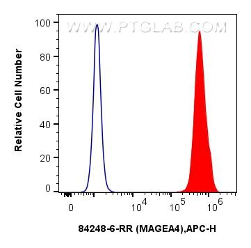 Flow cytometry (FC) experiment of A431 cells using MAGEA4 Recombinant antibody (84248-6-RR)