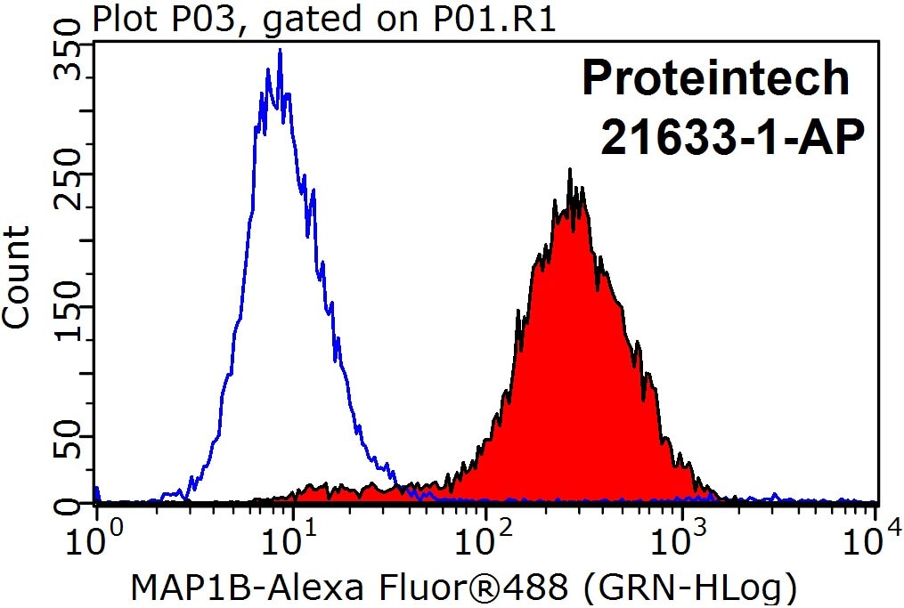Flow cytometry (FC) experiment of SH-SY5Y cells using MAP1B Polyclonal antibody (21633-1-AP)