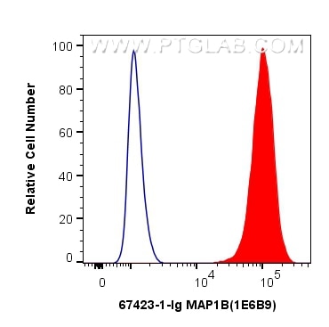 Flow cytometry (FC) experiment of SH-SY5Y cells using MAP1B Monoclonal antibody (67423-1-Ig)