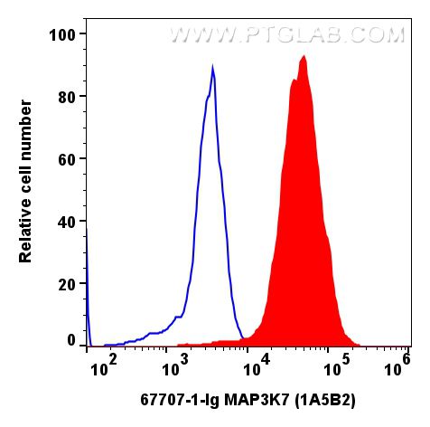 Flow cytometry (FC) experiment of K-562 cells using TAK1 Monoclonal antibody (67707-1-Ig)