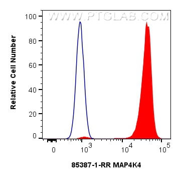 1x10^6 HepG2 cells were intracellularly stained with 0.25 ug MAP4K4 Recombinant monoclonal antibody (85387-1-RR, Clone:242721G1) and CoraLite®488-Conjugated Goat Anti-Rabbit IgG(H+L) (SA00013-2)(red), or 0.25 ug Rabbit IgG Isotype Control RecAb (98136-1-RR, Clone: 240953C9) (blue). Cells were fixed and permeabilized with Intracellular Flow Cytometry Fixation & Permeabilization Buffer Kit (PF00019). Flow cytometry (FC) experiment of HepG2 cells using MAP4K4 Recombinant monoclonal antibody (85387-1-RR)