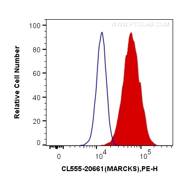 Flow cytometry (FC) experiment of HeLa cells using CoraLite®555-conjugated MARCKS Polyclonal antibody (CL555-20661)