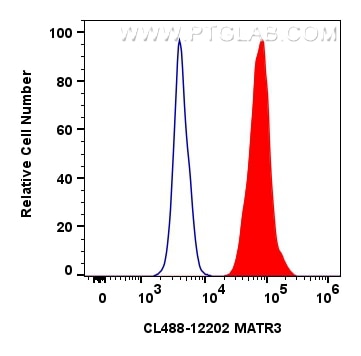 FC experiment of SH-SY5Y using CL488-12202