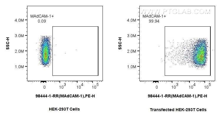 Flow cytometry (FC) experiment of Transfected HEK-293T cells using Anti-Mouse MAdCAM1 Rabbit Recombinant Antibody (98444-1-RR)