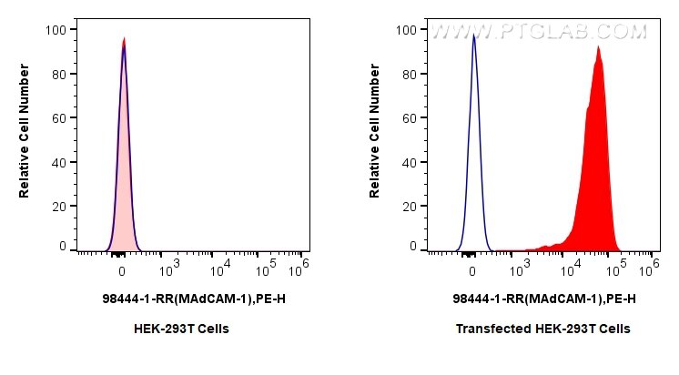Flow cytometry (FC) experiment of Transfected HEK-293T cells using Anti-Mouse MAdCAM1 Rabbit Recombinant Antibody (98444-1-RR)