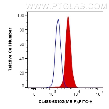 Flow cytometry (FC) experiment of HeLa cells using CoraLite® Plus 488-conjugated MBIP Monoclonal anti (CL488-66102)