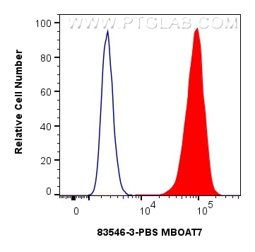 Flow cytometry (FC) experiment of A549 cells using MBOAT7 Recombinant monoclonal antibody, PBS Only (83546-3-PBS)