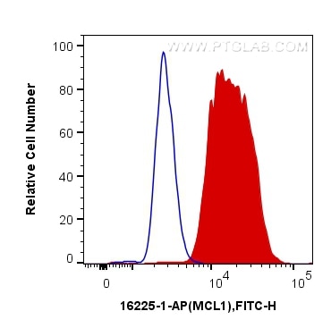 FC experiment of Ramos using 16225-1-AP