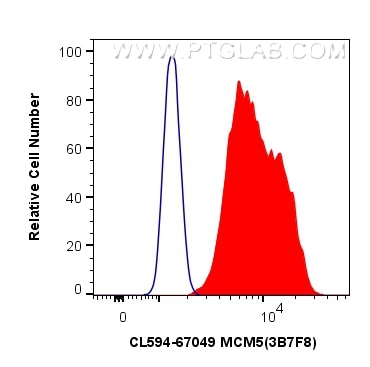 Flow cytometry (FC) experiment of MCF-7 cells using CoraLite®594-conjugated MCM5 Monoclonal antibody (CL594-67049)