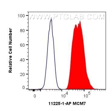 Flow cytometry (FC) experiment of HepG2 cells using MCM7 Polyclonal antibody (11225-1-AP)