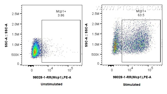 MCP-1/CCL2