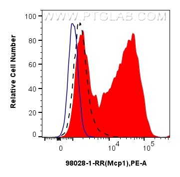 MCP-1/CCL2 antibody (98028-1-RR) | Proteintech