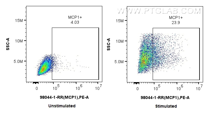 Flow cytometry (FC) experiment of THP-1 cells using Anti-Human MCP-1/CCL2 Rabbit Recombinant Antibody (98044-1-RR)