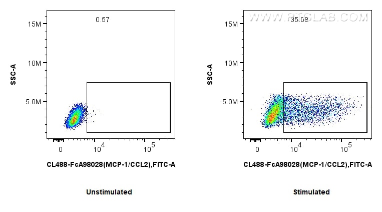 FC experiment of RAW 264.7 using CL488-FcA98028 Flow cytometry (FC) experiment of RAW 264.7 cells using FcZero-rAb® CoraLite® Plus 488 Anti-Mouse MCP-1/CC (CL488-FcA98028)