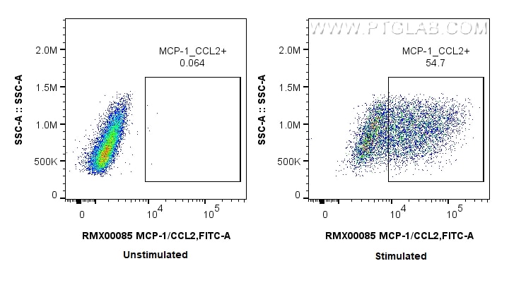 Flow cytometry (FC) experiment of RAW 264.7 cells using Multi-rAb® MCP-1/CCL2 Multi-Recombinant antibody (RMX00085)