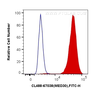 Flow cytometry (FC) experiment of HeLa cells using CoraLite® Plus 488-conjugated MED30 Monoclonal ant (CL488-67038)
