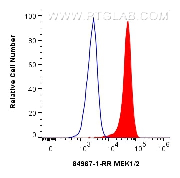 Flow cytometry (FC) experiment of Jurkat cells using MEK1/2 Recombinant antibody (84967-1-RR)