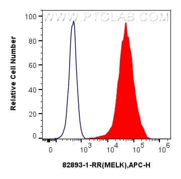 Flow cytometry (FC) experiment of MCF-7 cells using MELK Recombinant antibody (82893-1-RR)