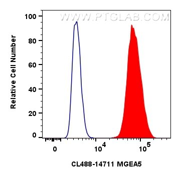 MGEA5