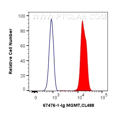 Flow cytometry (FC) experiment of Jurkat cells using MGMT Monoclonal antibody (67476-1-Ig)