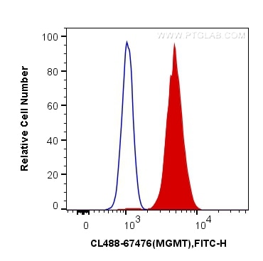 Flow cytometry (FC) experiment of HeLa cells using CoraLite® Plus 488-conjugated MGMT Monoclonal anti (CL488-67476)