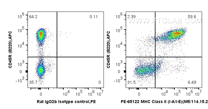 Flow cytometry (FC) experiment of mouse splenocytes using PE Anti-Mouse MHC Class II (I-A/I-E) (M5/114.15.2) (PE-65122)