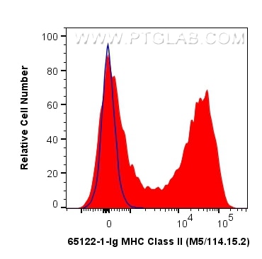 Flow cytometry (FC) experiment of mouse splenocytes using Anti-Mouse MHC Class II (I-A/I-E) (M5/114.15.2) (65122-1-Ig)
