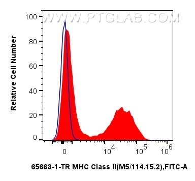 Flow cytometry (FC) experiment of mouse splenocytes using Anti-Mouse MHC Class II (I-A/I-E) (M5/114.15.2) Ra (65663-1-TR)
