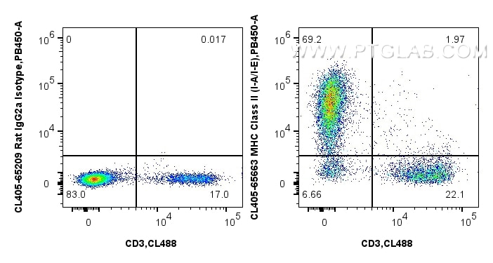 Flow cytometry (FC) experiment of mouse splenocytes using CoraLite® Plus 405 Anti-Mouse MHC Class II (I-A/I- (CL405-65663)