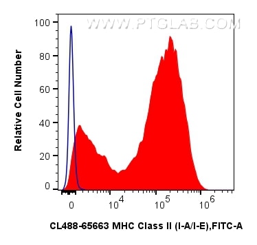 Flow cytometry (FC) experiment of mouse splenocytes using CoraLite® Plus 488 Anti-Mouse MHC Class II (I-A/I- (CL488-65663)