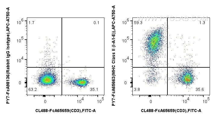 1x10^6 mouse splenocytes were surface stained with FcZero-rAb™ CoraLite® Plus 488 Anti-Mouse CD3 (17A2), and 0.25 ug PE-Cyanine7 Anti-Mouse MHC Class II (I-A/I-E) (M5/114.15.2) Rabbit IgG RecAb (PY7-FcA65663, Clone: M5/114.15.2) or FcZero-rAb™ PE-Cyanine7 Rabbit IgG Isotype Control Recombinant Antibody (PY7-FcA98136, Clone: 240953C9). Cells were incubated with MonoZero™ Monocytes blocking Reagent (PF00020) prior to staining. Cells were not fixed. Flow cytometry (FC) experiment of mouse splenocytes using FcZero-rAb™ PE-Cyanine7 Anti-Mouse MHC Class II (I (PY7-FcA65663)