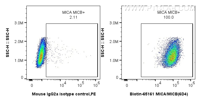 Flow cytometry (FC) experiment of HeLa cells using Biotin Anti-Human MICA/MICB (6D4) (Biotin-65161)