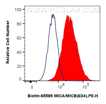 1x10^6 HeLa cells were surface stained with 0.25 ug Biotin Anti-Human MICA/MICB (6D4) Mouse IgG2a RecAb (Biotin-65589, Clone: 6D4) (red) or unstained (blue), and Streptavidin-PE Conjugate (PE-PF00030). Cells were not fixed. Flow cytometry (FC) experiment of HeLa cells using Biotin Anti-Human MICA/MICB (6D4) Mouse IgG2a Reco (Biotin-65589)