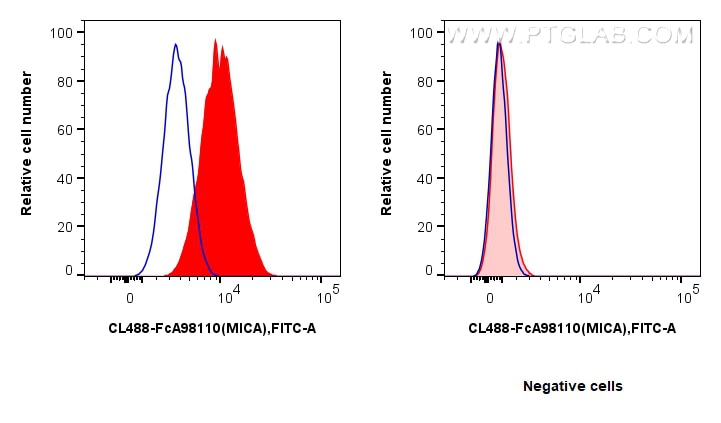 FC experiment of HeLa using CL488-FcA98110 Flow cytometry (FC) experiment of HeLa cells using FcZero-rAb® CoraLite® Plus 488 Anti-Human MICA/MIC (CL488-FcA98110)