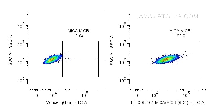 Flow cytometry (FC) experiment of HeLa cells using FITC Plus Anti-Human MICA/MICB (6D4) (FITC-65161)