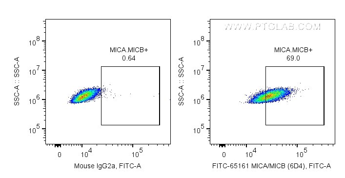 FC experiment of HeLa using FITC-65161