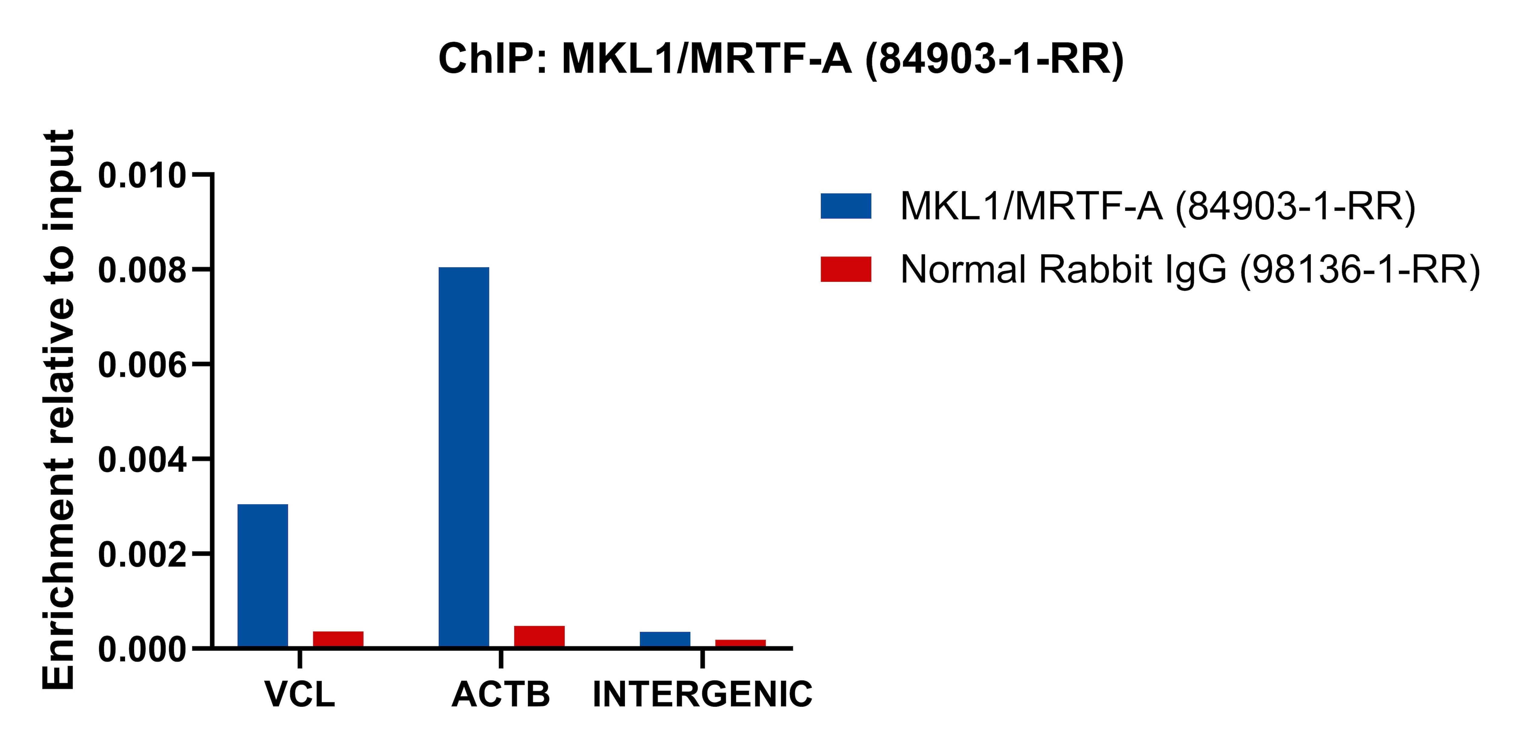 ChIP experiment of A-673 cells using MKL1/MRTF-A Recombinant monoclonal antibody (84903-1-RR)