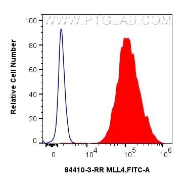 1x10^6 HEK-293 cells were intracellularly stained with 0.25 ug MLL4 Recombinant monoclonal antibody (84410-3-RR, Clone:241819G9) and CoraLite®488-Conjugated Goat Anti-Rabbit IgG(H+L) (SA00013-2)(red), or 0.25 ug Rabbit IgG Isotype Control RecAb (98136-1-RR, Clone: 240953C9) (blue). Cells were fixed and permeabilized with Transcription Factor Staining Buffer Kit (PF00011). Flow cytometry (FC) experiment of HEK-293 cells using MLL4 Recombinant monoclonal antibody (84410-3-RR)