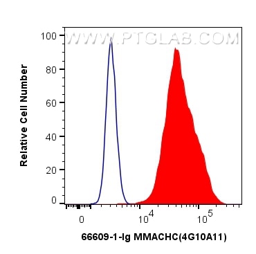 Flow cytometry (FC) experiment of HeLa cells using MMACHC Monoclonal antibody (66609-1-Ig)