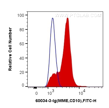 Flow cytometry (FC) experiment of Raji cells using MME,CD10 Monoclonal antibody (60034-3-Ig)
