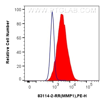 Flow cytometry (FC) experiment of HeLa cells using MMP1 Recombinant antibody (83114-2-RR)
