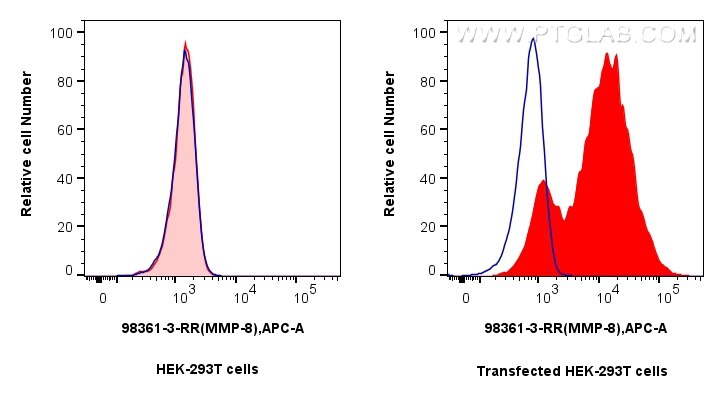 Flow cytometry (FC) experiment of Transfected HEK-293T cells using Anti-Rat MMP8 Rabbit Recombinant Antibody (98361-3-RR)