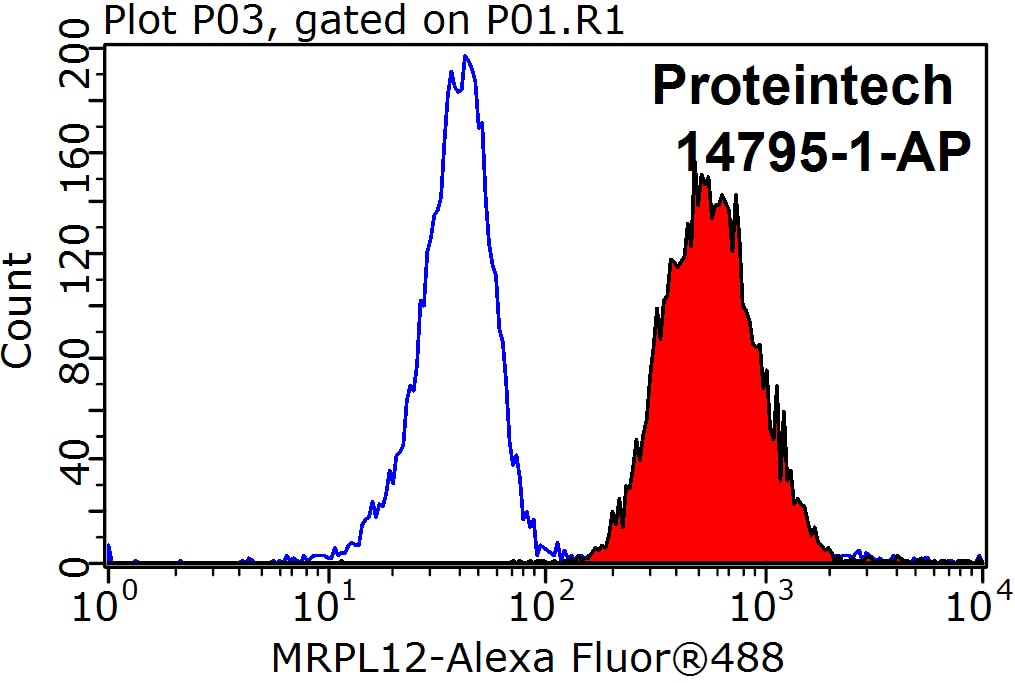 Flow cytometry (FC) experiment of HeLa cells using MRPL12 Polyclonal antibody (14795-1-AP)
