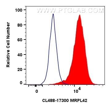 MRPL42
