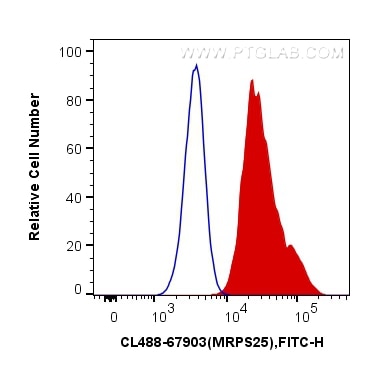 Flow cytometry (FC) experiment of HeLa cells using CoraLite® Plus 488-conjugated MRPS25 Monoclonal an (CL488-67903)