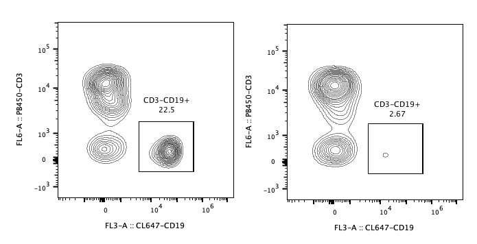 Following depletion of CD19+ cells, supernatant cell suspension was stained with PB450-CD3(clone: HIT3a) and CL647-CD19(clone: SJ25C1) antibodies. CD45 positive cells are gated in the analysis. Left panel: CD3-CD19+ cells before selection. Right panel: CD3-CD19+ cells after depletion. Human CD19 Magnetic Beads are tested using PBMC from three different donors.