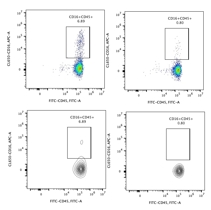 Following cell separation, cell suspension was stained with FITC-CD45(F10-89-4) and CL650-CD16(3G8) antibodies. All viable cells are gated in the analysis. Left panel: CD16+CD45+ cells before selection. Right panel: CD16+CD45+ cells after depletion. Human CD16 magnetic beads are tested using PBMC from three donors. 