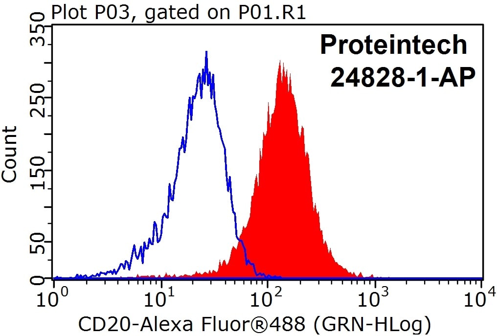Flow cytometry (FC) experiment of Raji cells using CD20 Polyclonal antibody (24828-1-AP)