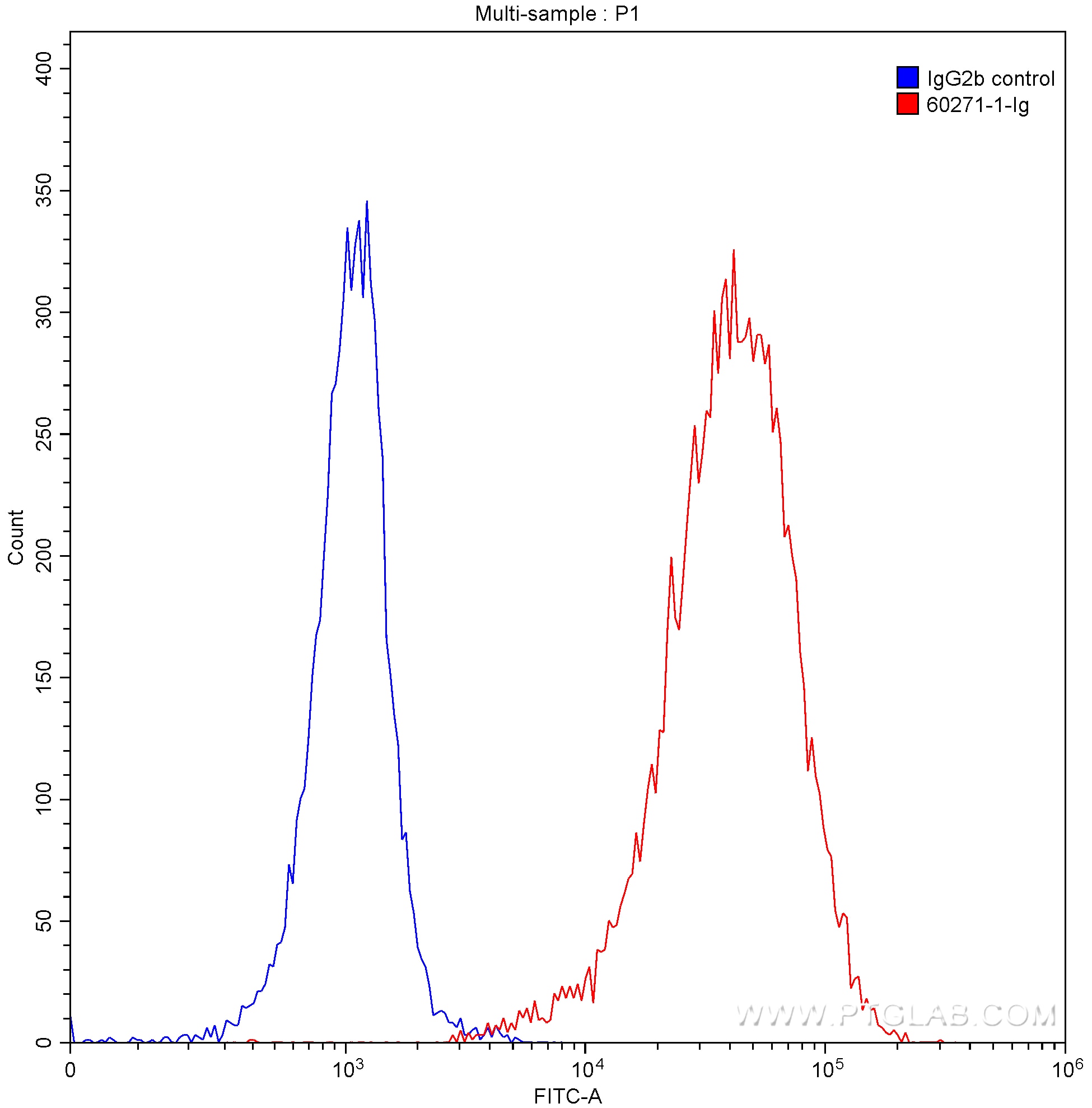Flow cytometry (FC) experiment of Raji cells using CD20 Monoclonal antibody (60271-1-Ig)